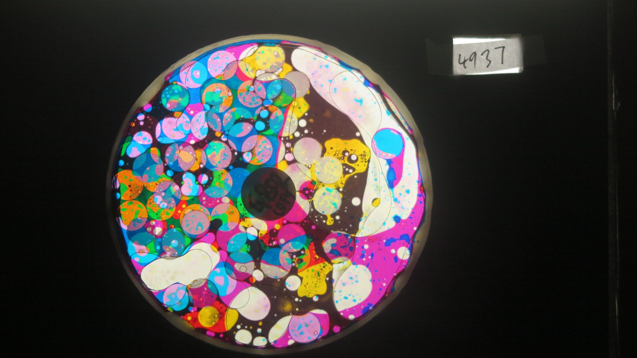 BV4937 bubble vision oil wheel